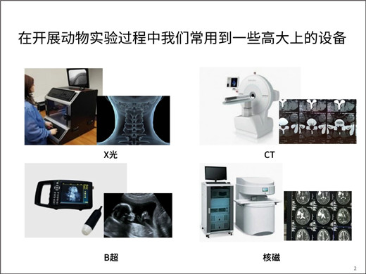 1565847842127739.jpg 2.jpg