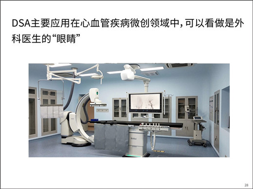 1565849645125429.jpg 28.jpg