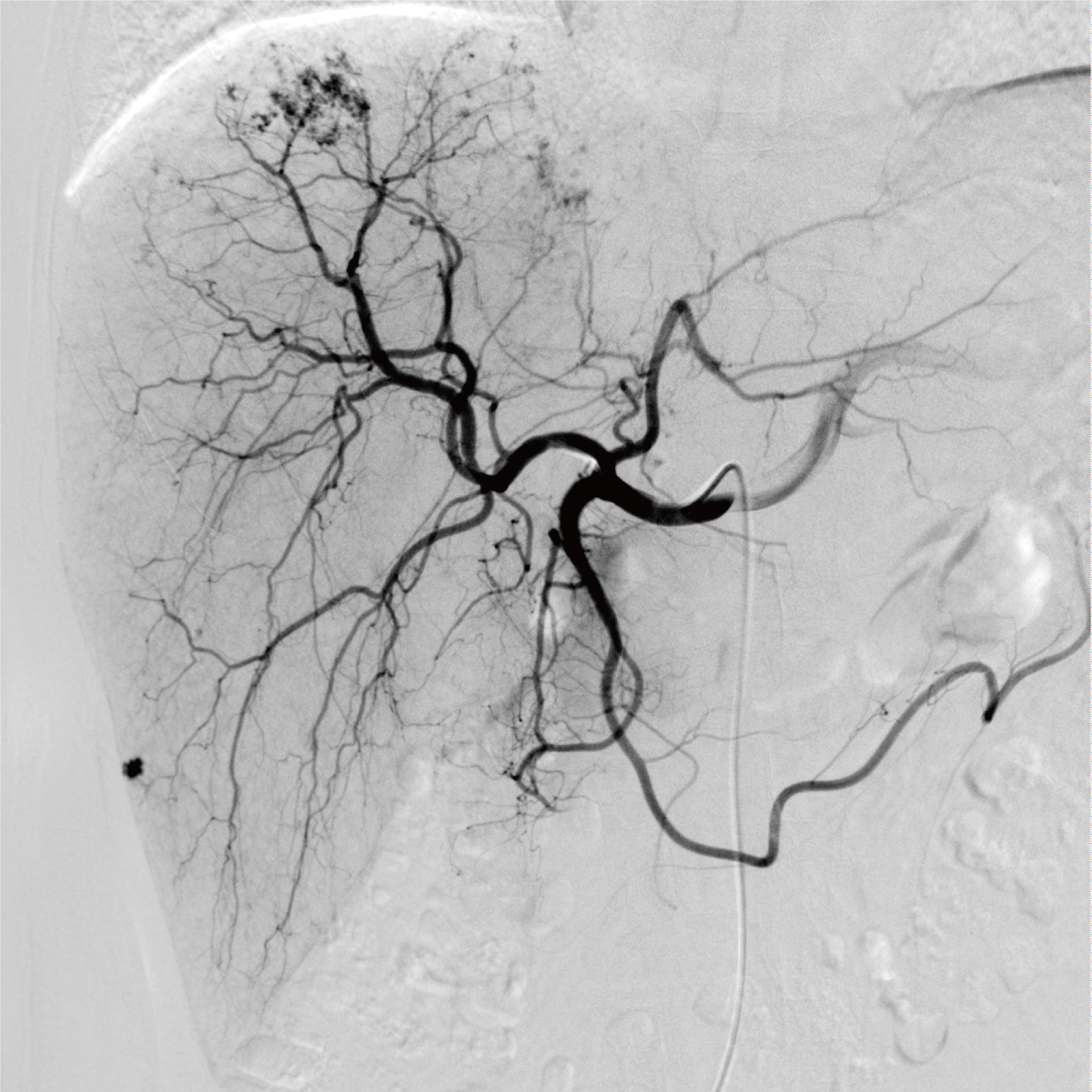 1616040775492025.jpg 1616040775492025.jpg